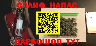 гидра Братск