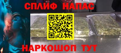 гидра Братск